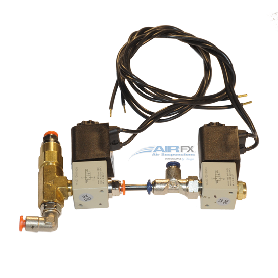 Picture of Rear Valve Pair