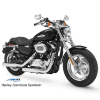 Rear Air Ride Kit for 2010-2017 Sportster